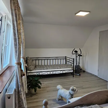 Apartment Casa Rares Wintrich