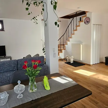Casa Rares