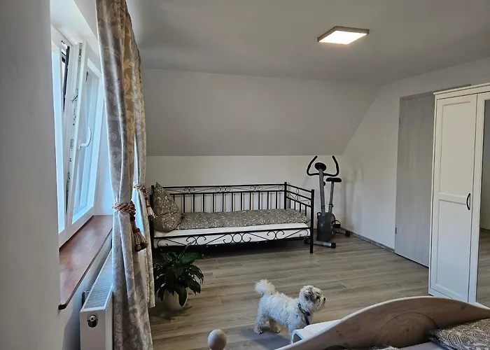 Apartment Casa Rares Wintrich